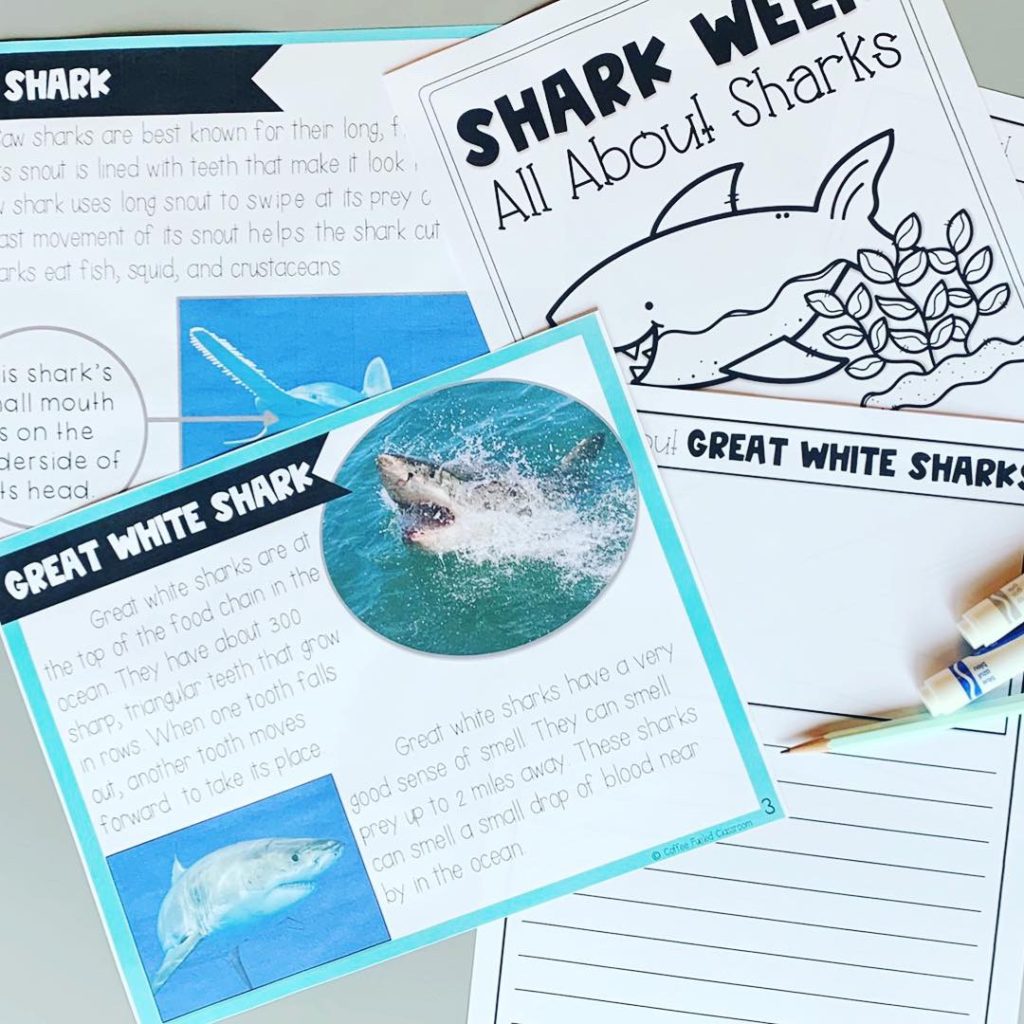 shark-week-in-the-classroom