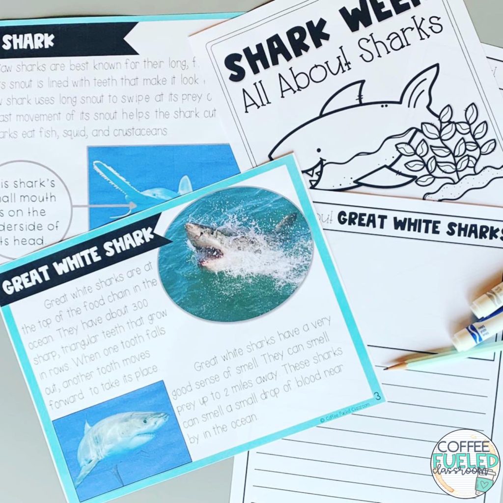 shark-week-in-the-classroom